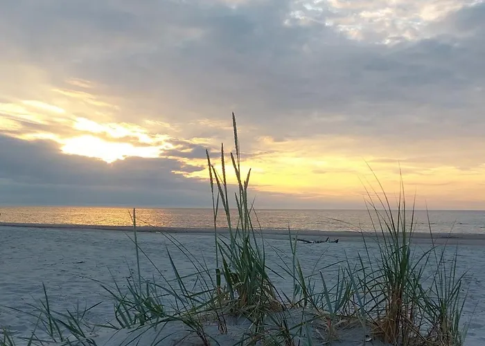 Pearl Blue * Rogowo (Gryfice)